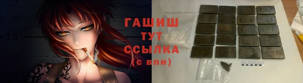 стаф Магас