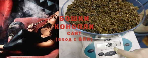 стаф Магас