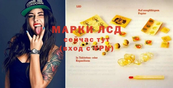 стаф Магас